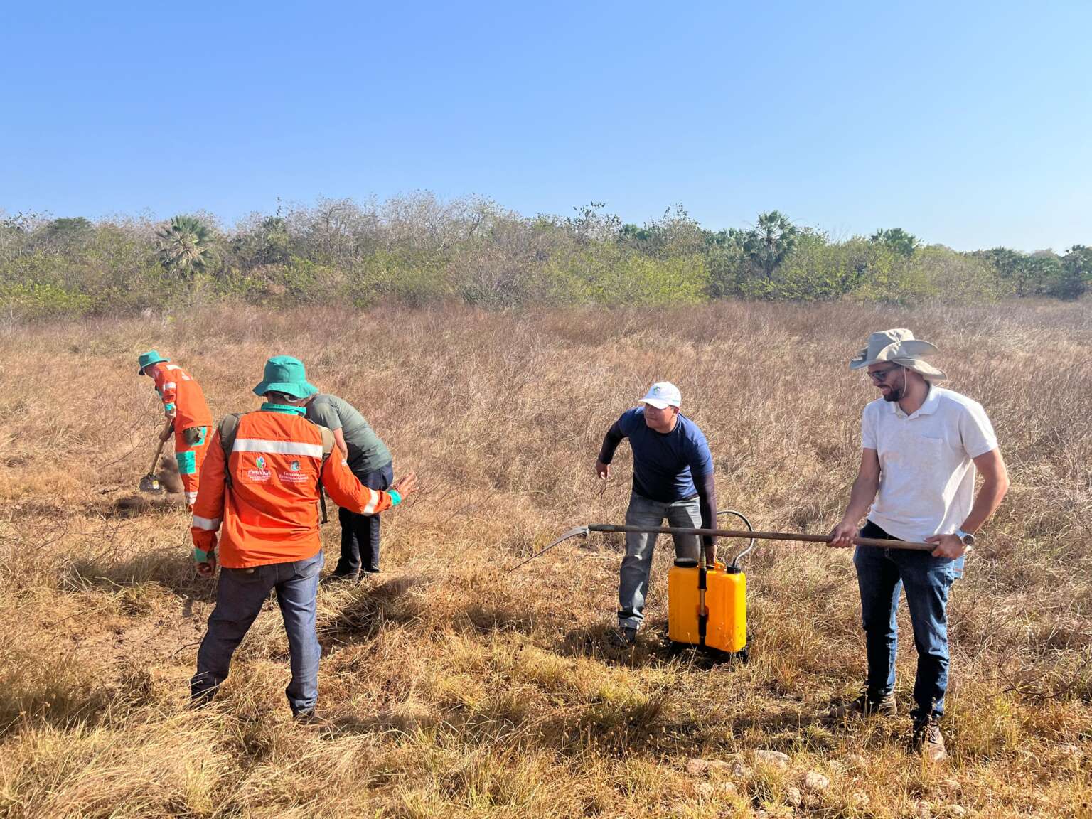 Brigadistas da Sema passam por treinamento para prevenção e combate a incêndios florestais