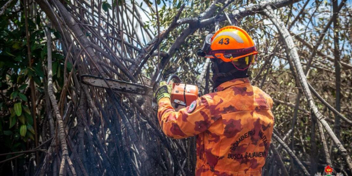 CBMCE realizou o corte de 1.327 árvores em situação de perigo neste ano