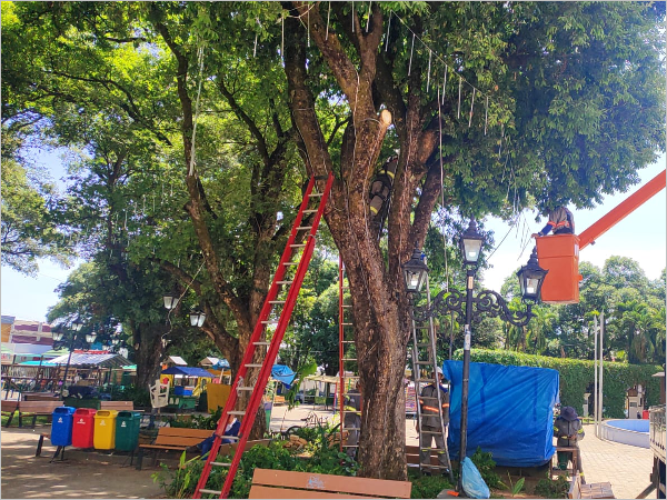 Decoração para o Natal do Crato traz novidades este ano