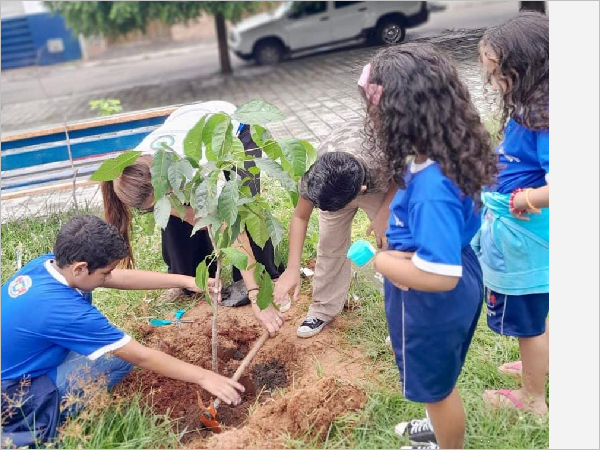 Parque das Timbaúbas recebe o movimento regenerativo “Tempo de Plantar” no próximo domingo, 1º