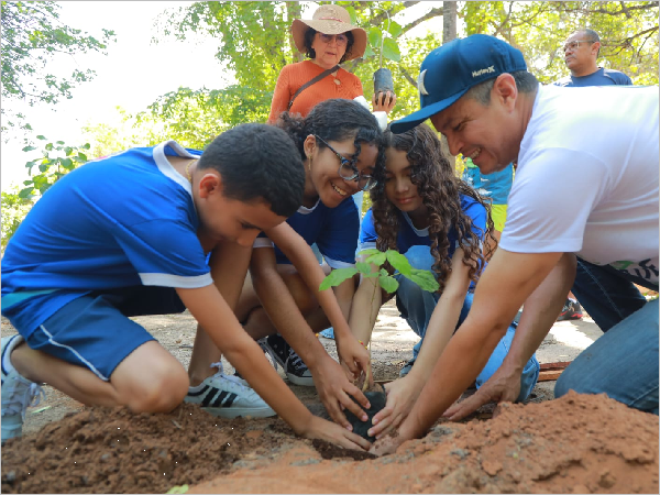 Estudantes plantam árvores no Parque das Timbaúbas