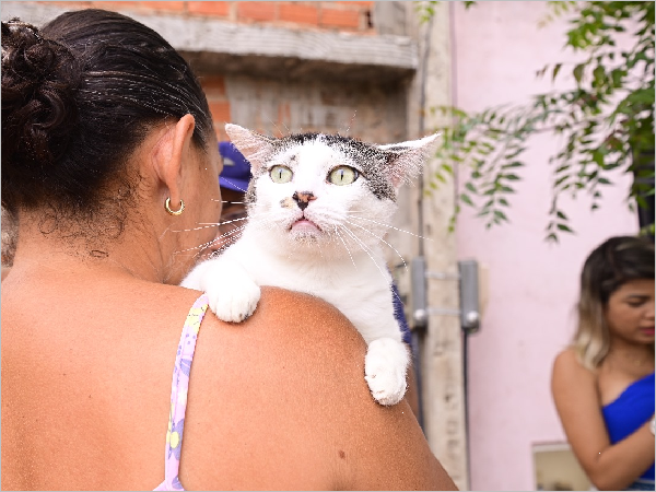 Mais de 500 animais são imunizados contra a raiva nos pontos volantes dos bairros Monsenhor Murilo e Horto