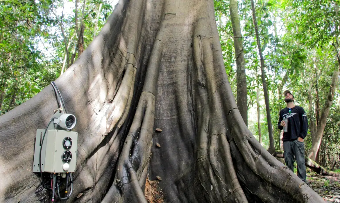 Tecnologias monitoram biodiversidade, árvores e ar da Amazônia