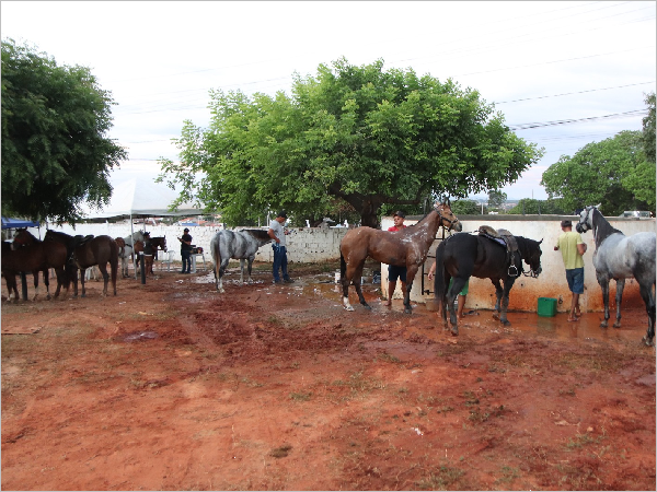Juazeiro do Norte abre Consulta Pública para edital de seleção de uso das baias do Parque de Eventos Padre Cícero