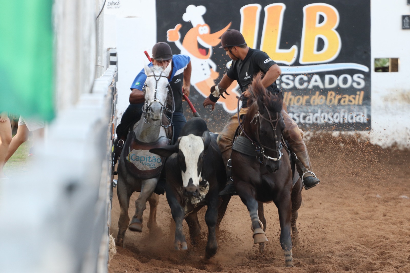 Vaquejada de Juazeiro do Norte começa nesta quarta-feira, 9 de julho