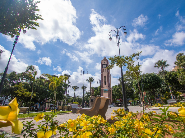 Juazeiro do Norte inicia projeto de arborização e paisagismo em espaços públicos