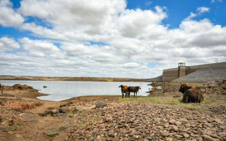 100% do território cearense está sob seca relativa, aponta funceme