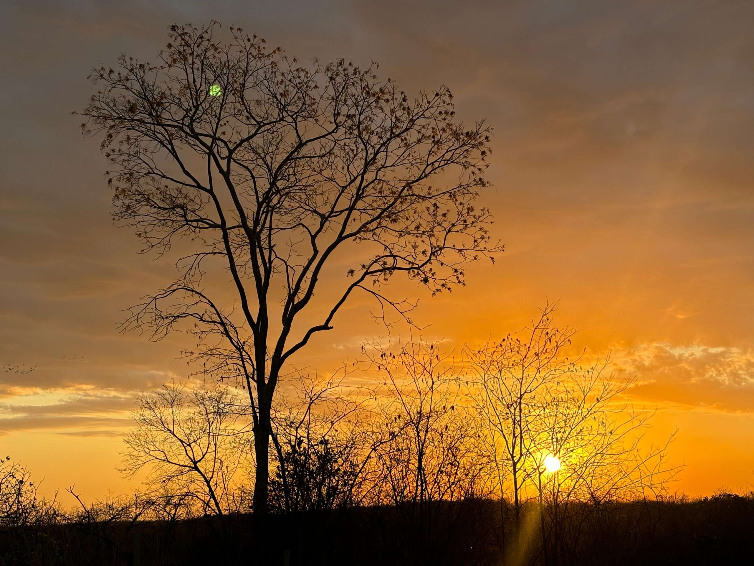 Cariri inicia a semana com calor acima da média e sem expectativa de chuva, aponta Funceme