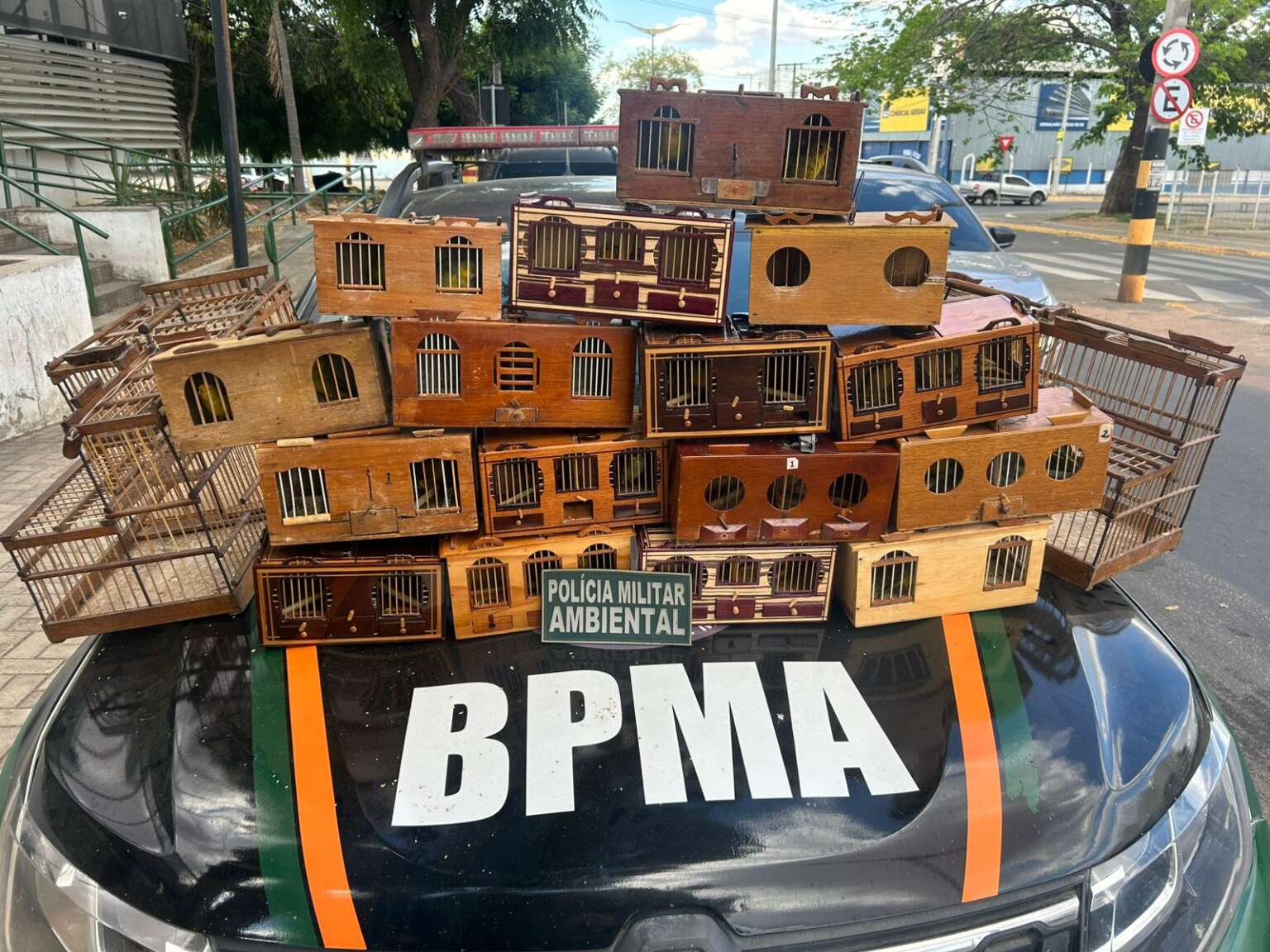 Polícia apreende 30 aves silvestres e desarticula rinha em Barbalha