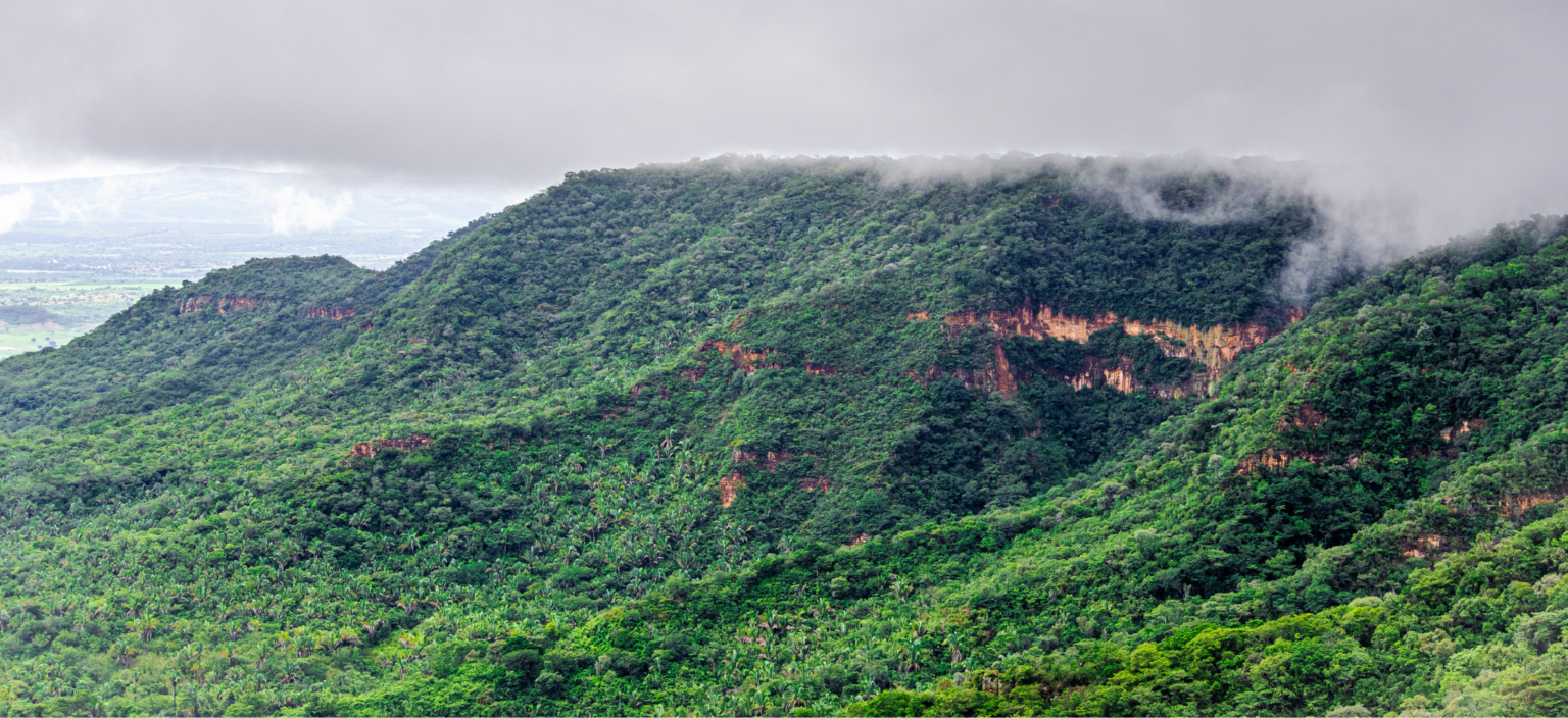 Manifestação em defesa da Chapada do Araripe acontece neste sábado (24)