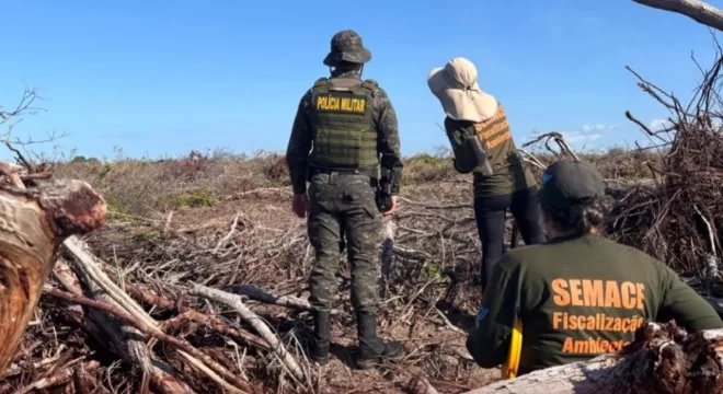 Municípios do Cariri são alvo de operação contra desmatamento ilegal da Caatinga
