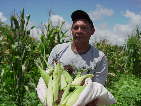 Fazenda agroecológica amplia produção e gera renda no Sítio Jurema, em Juazeiro do Norte
